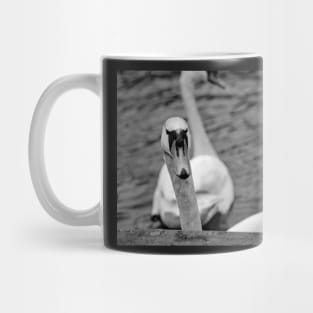 Mute swan portrait Mug